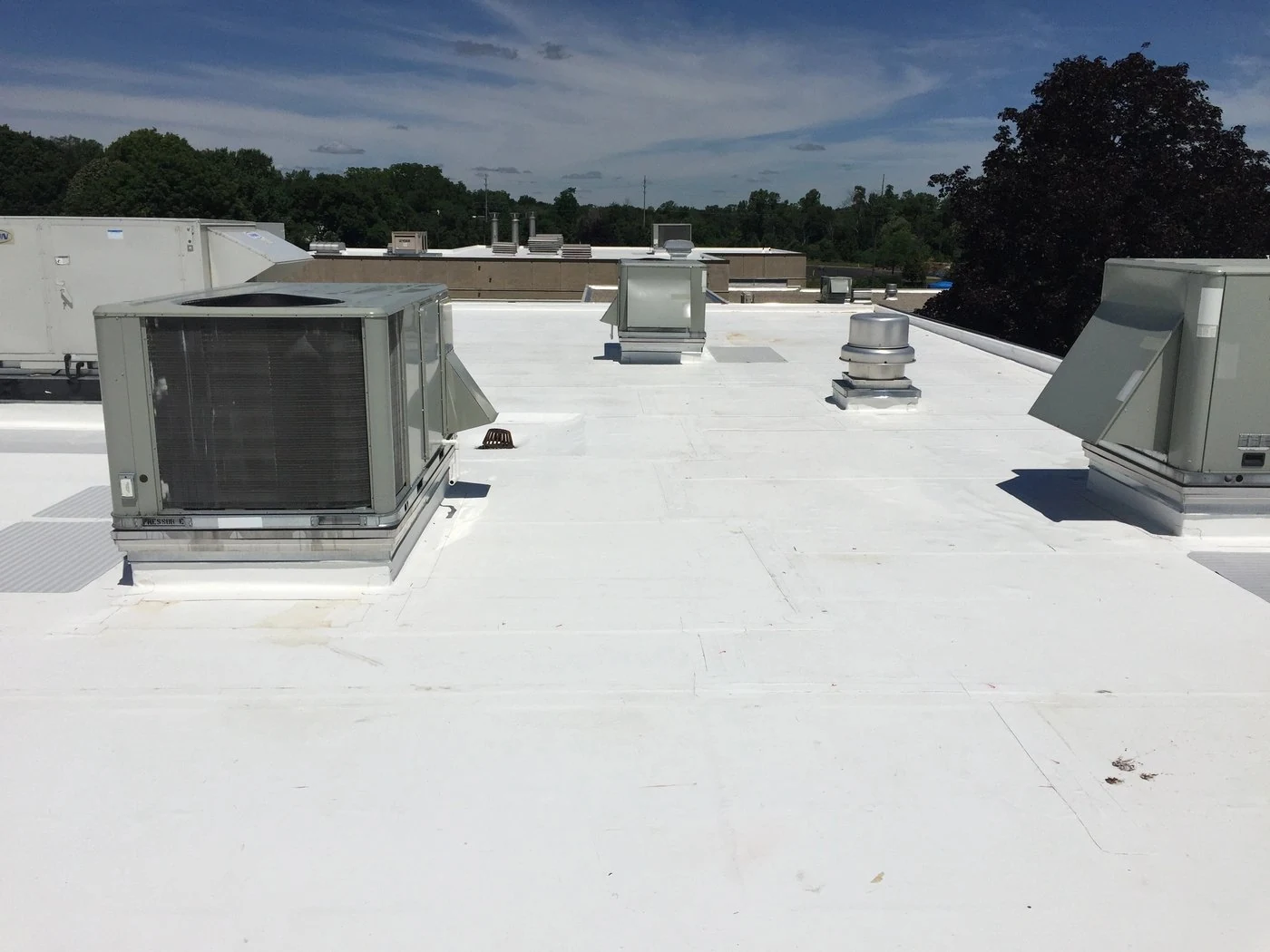 PVC Roofing Systems in Las Cruces, NM