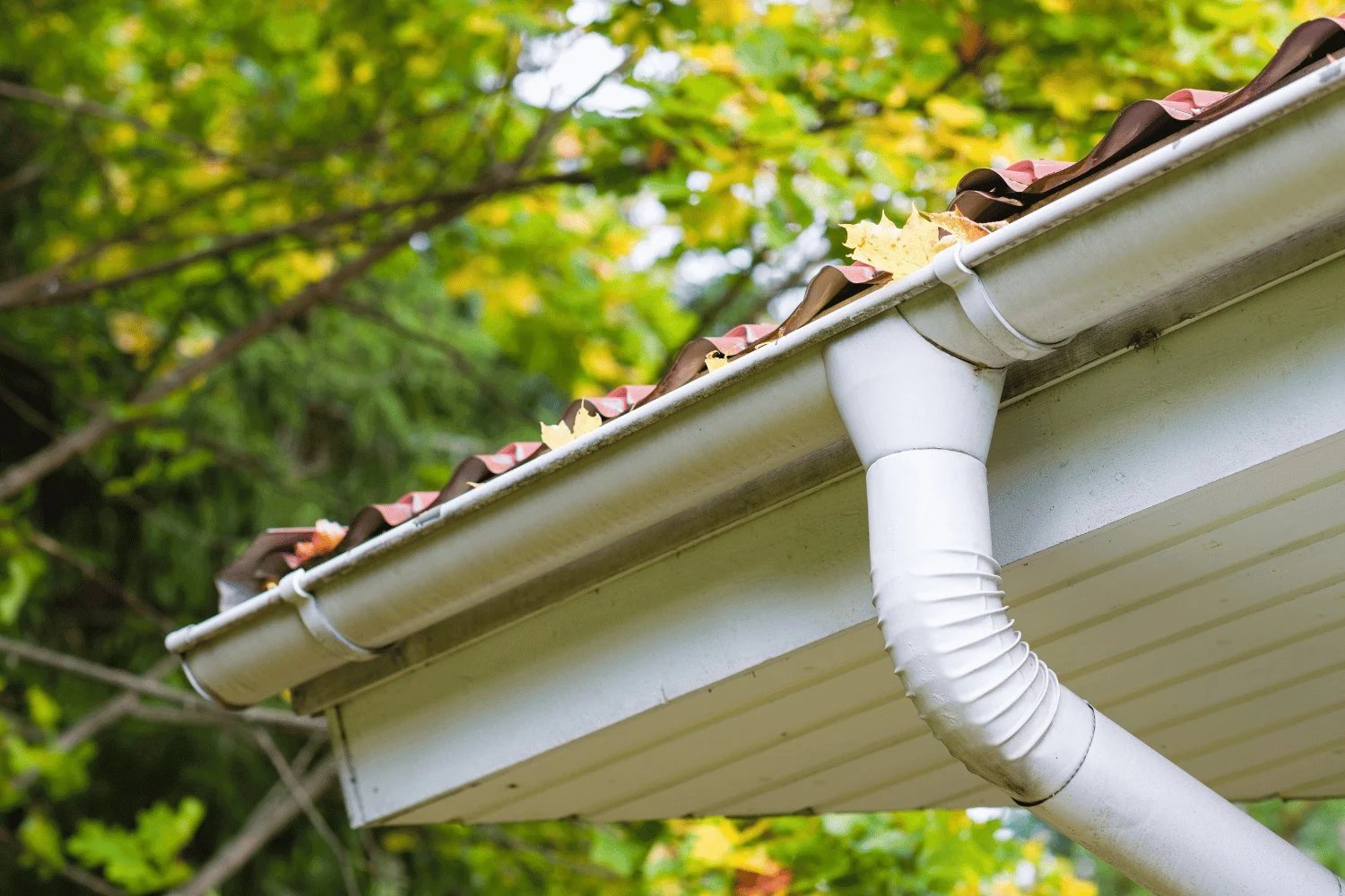 Roof Drain & Scupper Service in Las Cruces, NM